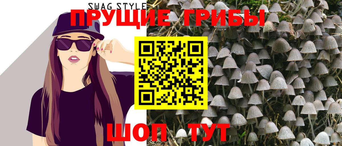 Псилоцибиновые грибы GOLDEN TEACHER  Вход с VPN  купить наркотики цена  Гусев 